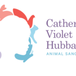 It’s not too late to celebrate Older Americans Month. My guest is Jenny Hubbard, of The Catherine Violet Hubbard Foundation